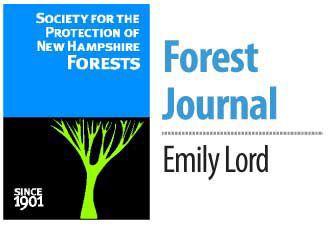 Forest Journal-Lord